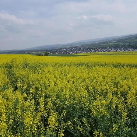 Rosa Taunus Apartamento Bad Camberg